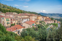 cortona